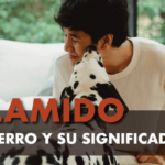 El lamido de tu perro