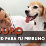 Seguro médico para perros