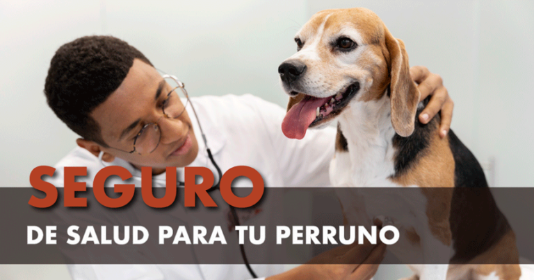 Seguro médico para perros