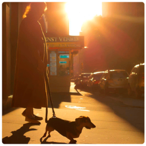 Mujer paseando en la calle con su perro