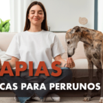 Terapias-holísticas-para-perros