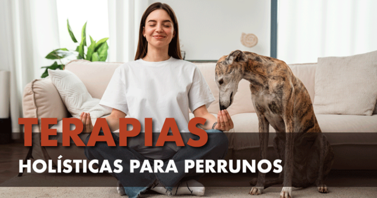 Terapias-holísticas-para-perros