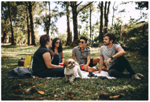 Amigos reunidos con su perruno