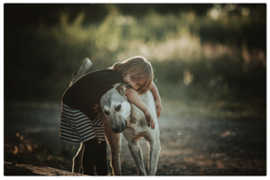 Los beneficios de tener un perro en tu vida