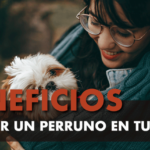 Los-Beneficios-de-tener-un-perro