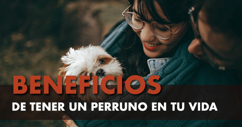 Los-Beneficios-de-tener-un-perro