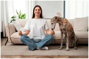 Perro meditando