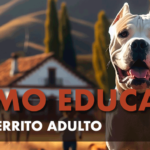 Cómo educar a un perro adulto