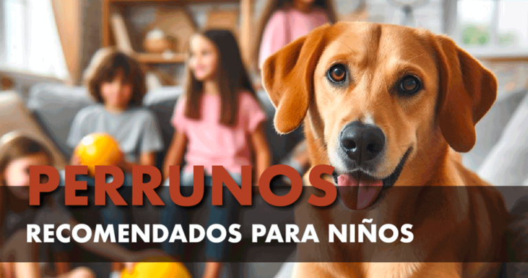 Perrito adoptado junto a su familia